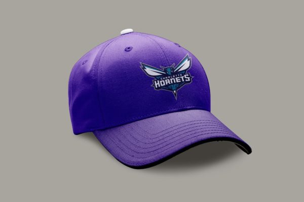 CHARLOTTE HORNETS