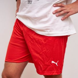 Puma rojo