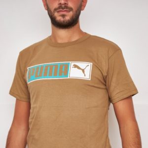 Puma marrón