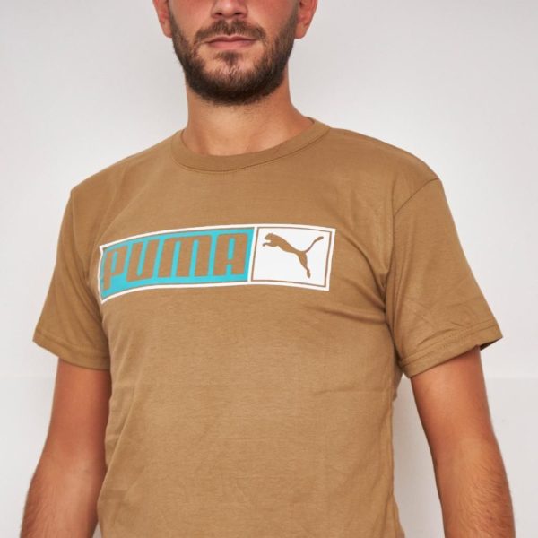 Puma marrón